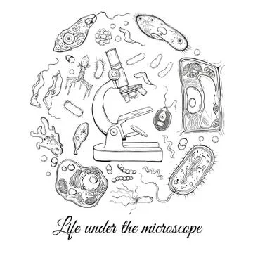 Big set with microscope and different microorganisms Stock Illustration