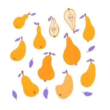Big set with pear and pears slices with leaves. Hand drawn elements fruits core Illustrazione stock