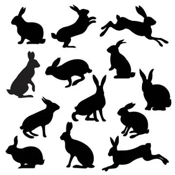 Big Set Rabbit Isolated White Background Stock Illustration