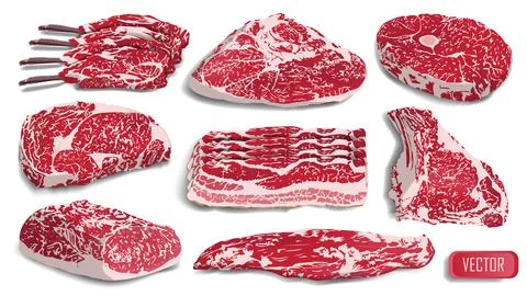 Big set of realistic meat. Cow pork steak grill food beef raw vector Stock Illustration