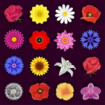 Big set of spring or summer flowers isolated Stock Illustration