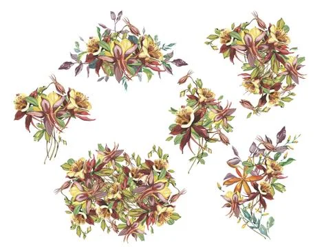 Big Set summer flower frame in a watercolor style isolated. Full name of the Stock Illustration
