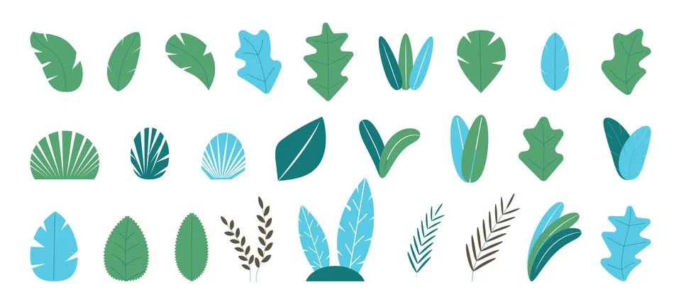 Big set of trees. Plants, trees, tropical leaves collection vector. Branches, Stock Illustration