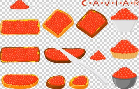 Big set various types fish caviar, bread different size Stock Illustration