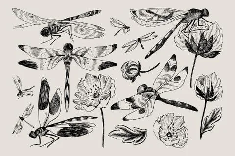 Big set of vector floral elements with black and white hand drawn herbs 스톡 일러스트