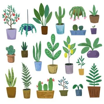 Big set of vector house plants, isolated on white background . Garden in the Stock Illustration