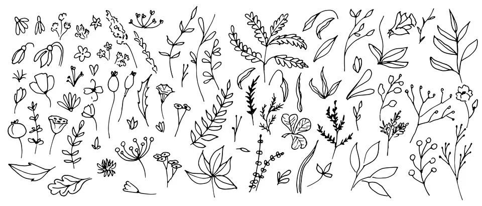 Big Set of vector Plants in Doodle style. Hand drawn illustration in monochrome Stock Illustration