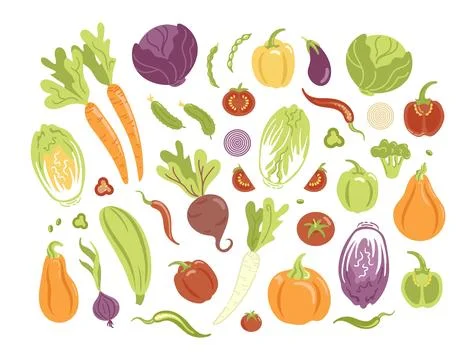 Big set of vegetables in flat style. Various fresh vegetarian products イラスト素材