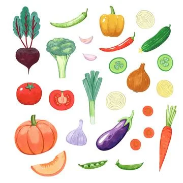 Big set of vegetables. Isolated hand drawn elements in simple cartoon watercolor Illustrazione stock