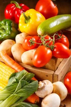 Big set of vegetables Stock Photos