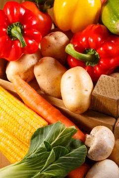 Big set of vegetables Stock Photos