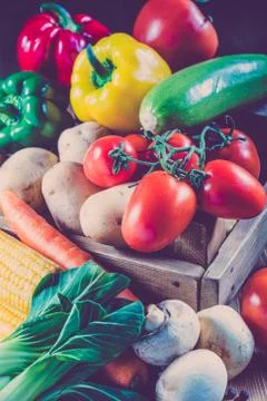 Big set of vegetables Stock Photos