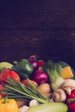Big set of vegetables Stock Photos