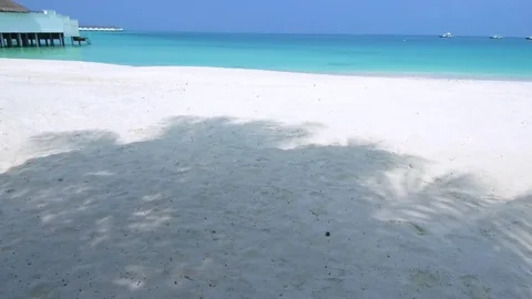 Big shadows of palms tree on the tropical beach with white sand. Stock Footage 82868957