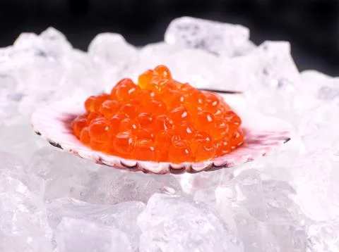 Big shell filled with red caviar on ice Foto stock