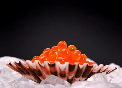 Big shell filled with red caviar on ice Stock Photos