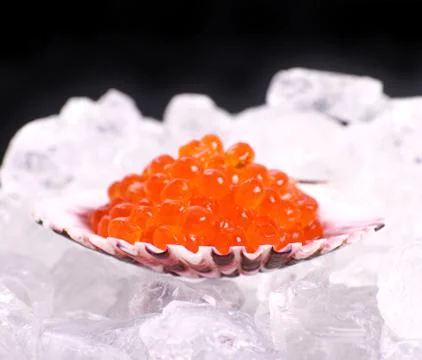 Big shell filled with red caviar on ice Stock Photos