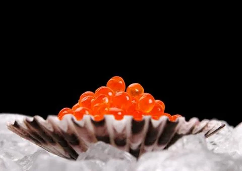 Big shell filled with red salmon caviar on ice Stock Photos