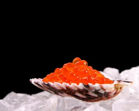 Big shell filled with red salmon caviar on ice Stock Photos