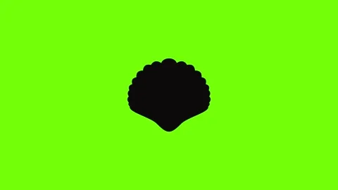 Big shell icon animation Stock Footage 157503976