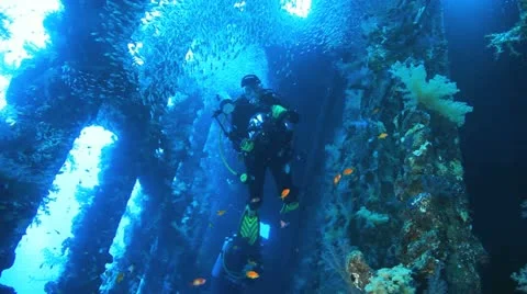 Big shoal Bait fish inside the ship wreck and photographer taking pictures Stock Footage 22637887