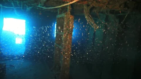 Big shoal Bait fish inside the ship wreck Stock Footage 22638066