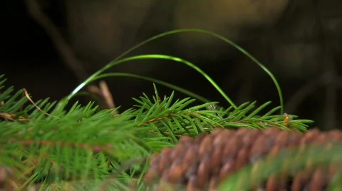 Big shot 3 Stock Footage 855538