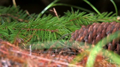 Big shot 4 Stock Footage 855587