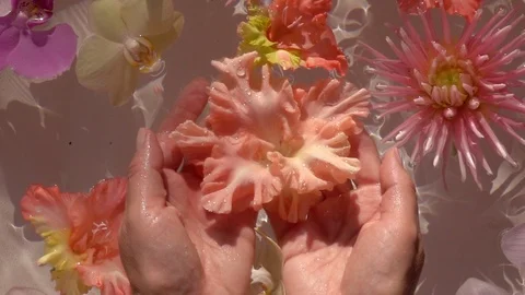 Big single drops of water falling down on sword lily (Gladiolus) in woman hands 스톡 동영상 116966169