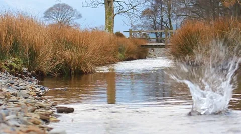Big Skimming Stone Upstream Bridge Slow Motion (720 50fps) English Countryside Stock-Footage 40840023