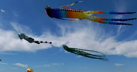 In the big sky kites "dragon" "rabbit" "raccoon" Stock Footage 66781792