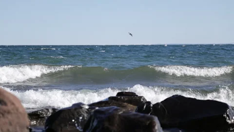 Big slow motion waves rolling into rocky shore in early evening with seagul.. Stock Footage 307951961
