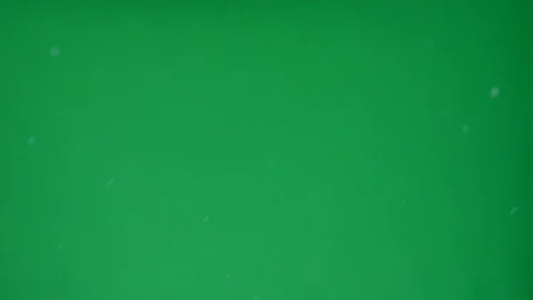 Big snow fall with real flakes captured on chroma key background Stock Footage 98123406