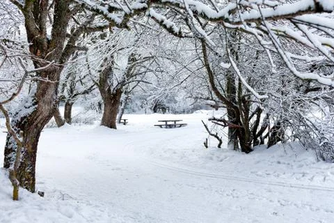 Big Snow Фото