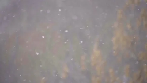 Big snowfall in slow motion Stock Footage 148619896