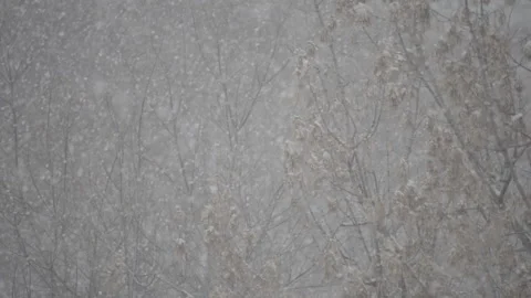 Big snowfall in slow motion Stockbeeldmateriaal 149164027