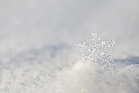 Big snowflake. Smooth surface of clean fresh snow. Snowy ground. Winter backg Stock Photos