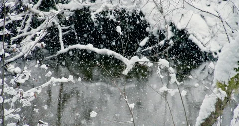 Big Snowflakes Falling Slowmo Dark Winter River Through Snowy Branches Alaska Stock Footage 166476170