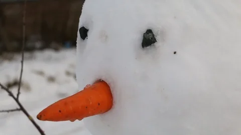 Big snowman close up Vidéo 107844349