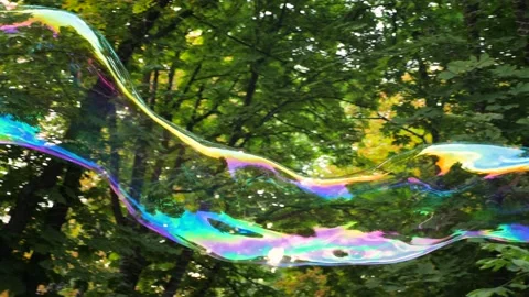 Big soap bubble against green tree. Colorful bubble flying in the air on the Stock Footage 139599595