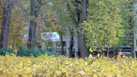 Big soap bubble flying and popping in slow motion in Oslo Norway during fall Stock Footage 264163385