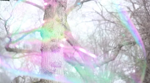 The big soap bubble Stock Footage 47281806