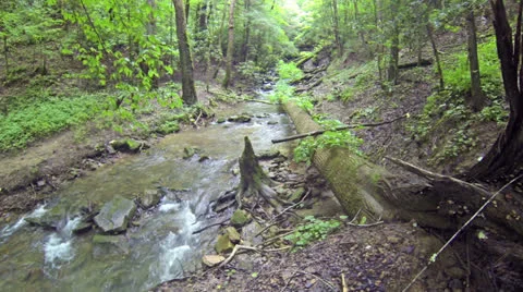 Big South Fork Mountain Stream 1 HD Stock Footage 25454028