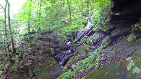 Big South Fork Mountain Stream 2 HD Stock Footage 25454366