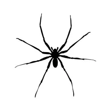 Big spider Stock Illustration