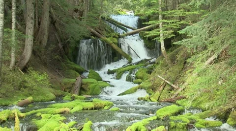 Big Spring Creek Falls 01 Video stock 7728004