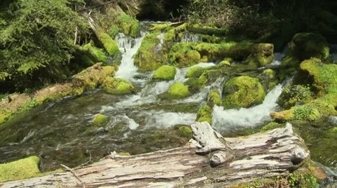 Big Spring Creek Falls 02 Stock Footage 7728058