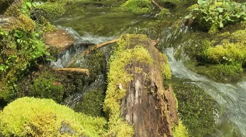 Big Spring Creek Falls 03 Stock Footage 7728075