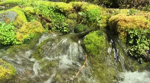 Big Spring Creek Falls 04 Stock Footage 7728133