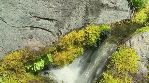 Big Spring Creek Falls 05 Stock Footage 7728180